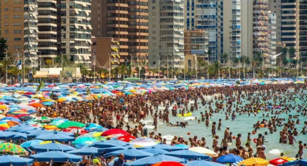 benidorm sunbed saga