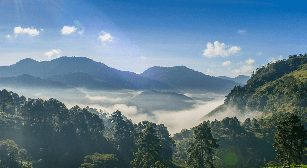 Tailored Vacation Planning