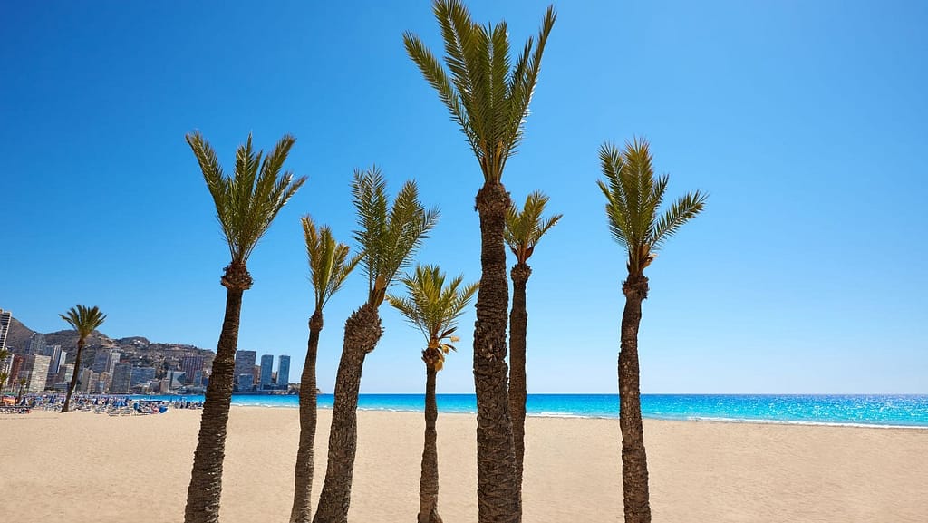 benidorm weather in summer